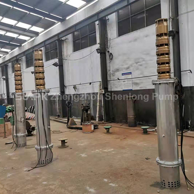 10 inch 12 inch 14 inch High-Performance Stainless Steel Submersible Pumps for Seawater Lifting