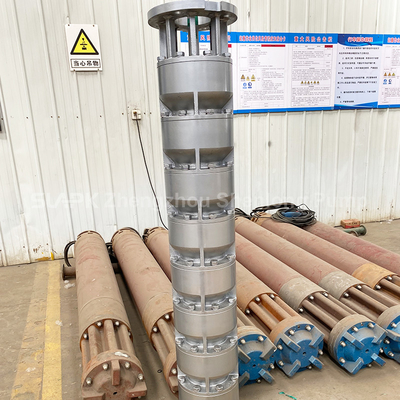 10 inch 12 inch 14 inch High-Performance Stainless Steel Submersible Pumps for Seawater Lifting