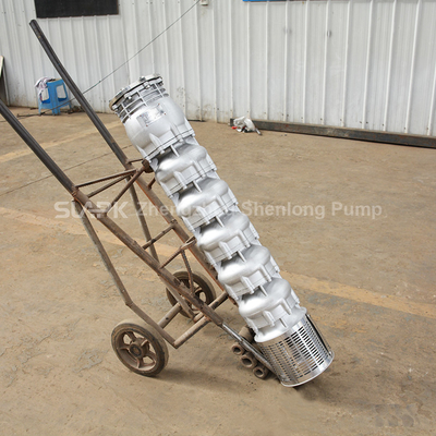 10" 120hp 150m3/H Flow Sea Water Submersible Pump Water Pumps