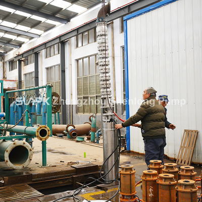 10 inch 12 inch 14 inch High-Performance Stainless Steel Submersible Pumps for Seawater Lifting