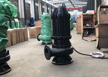 Rain Drainage Fecal Submersible Sewage Water Pump 22kw 30hp 3 Phase IP68