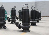 Dirty Water Industrial Sewage Pumps 15m3/H 25m3/H 50m3/H 2900 R/Min Speed