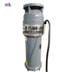 30m3/H 54m Fountain Submersible Pump 15m Cables Stainless Steel 304 Impeller