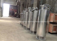 Stainless Steel 304 Submersible Sewage Pump For Municipal Urban Water Supply