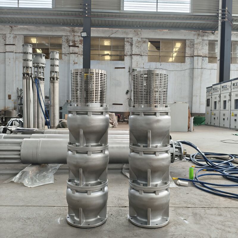 6 Inch Duplex Stainless Steel 2205 Deep Well Submersible Pump with 15 m³/h Flow and 180m Head