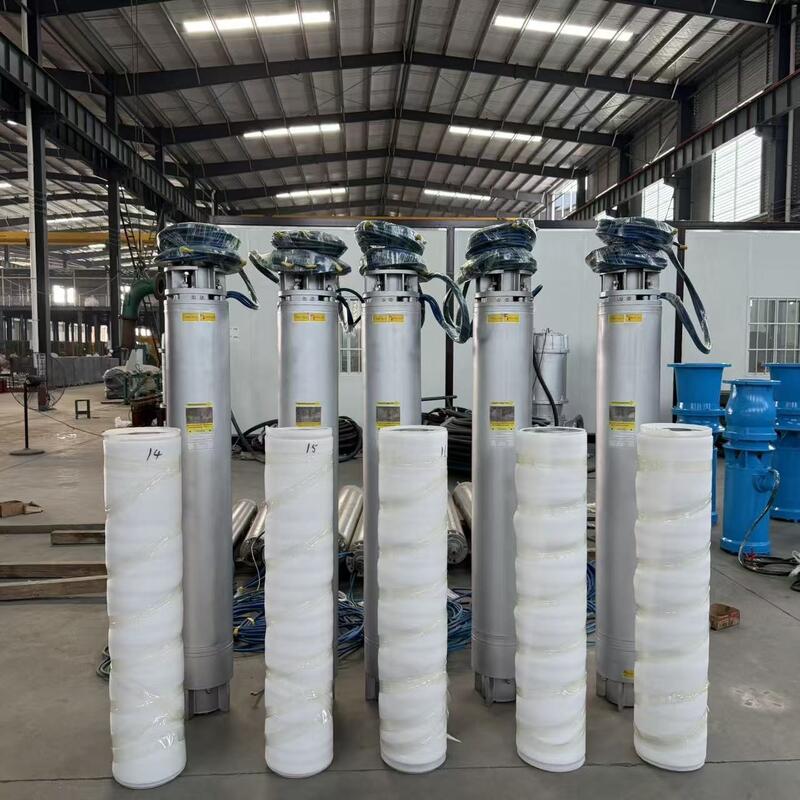 Stainless Steel Submersible Seawater Pump with Multistage High-Head Design and Customizable Configurations