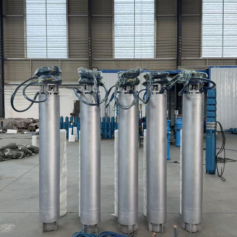 Stainless Steel Submersible Seawater Pump with Multistage High-Head Design and Customizable Configurations