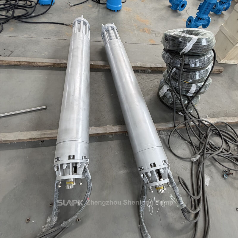 Stainless Steel Submersible Pump with High-Head Water Transfer and Custom Electrical Parameters for Marine Applications