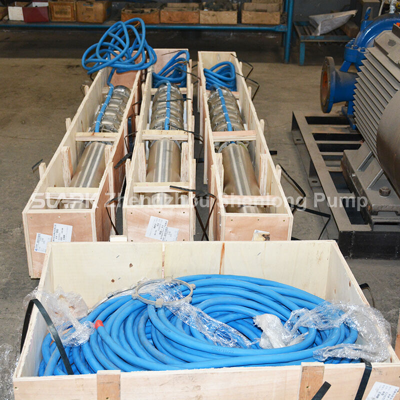 300 m³/h High Flow 100 m Head 140 kW Motor Deep Well Submersible Pump for Seawater Applications