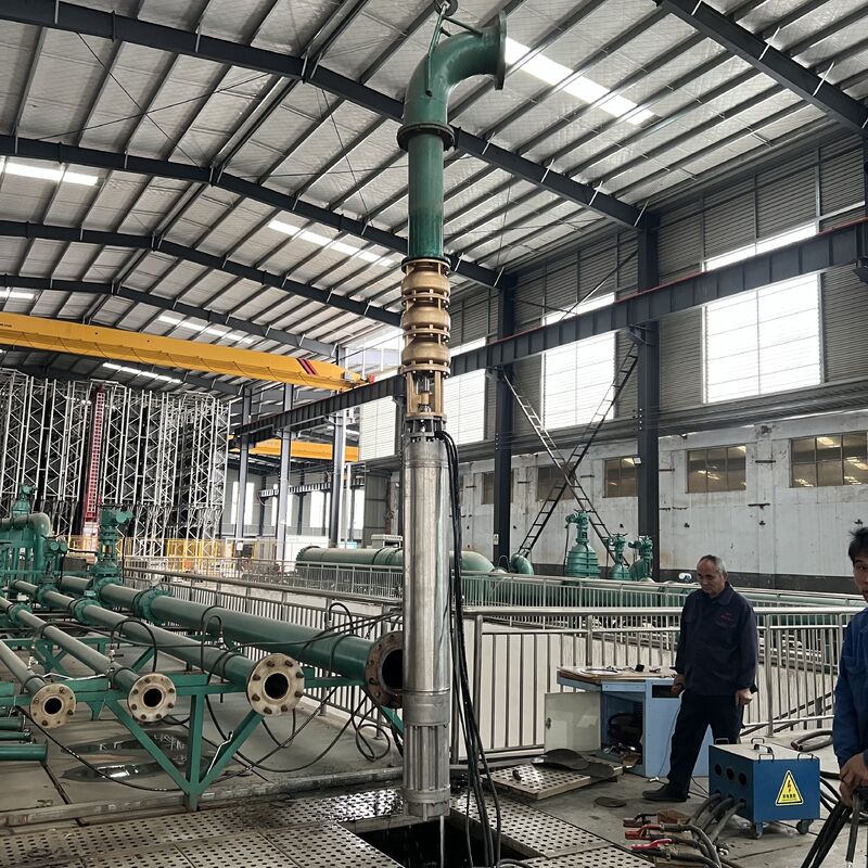 500 m³/h Deep Well Submersible Pump with Copper Pump Head and Stainless Steel Motor Housing for Seawater Supply