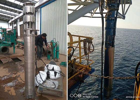 Sea Water Deep Well Submersible Pump 75kw 100hp SS316L Material 60m Head
