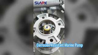 Stainless steel submersible water pump 