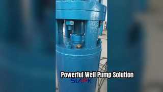 Cast Iron Submersible Well Pump